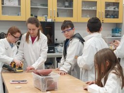 b_1024_768_0_00_images_2023_2024_Swiniuch_Klasy5CNL_410602587_820445099883440_7015870485104812895_n